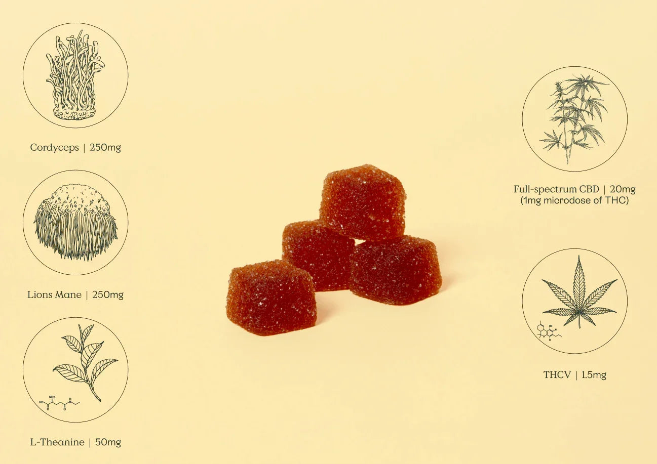 THCV Gummies -cbd energy,
cordyceps, and 
adhd gummies