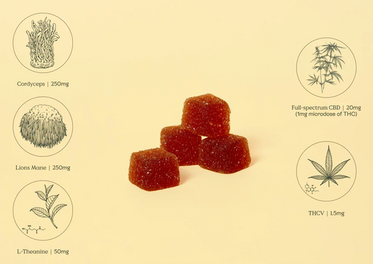 Gummies displayed with illustrated ingredients including cordyceps, lion’s mane, L-theanine, CBD, and THCV, highlighting a balanced blend designed to support clarity and sustained focus