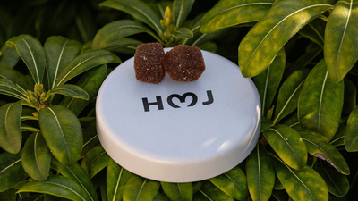 What Makes Full Spectrum CBD Different From Broad Spectrum Or Isolate?