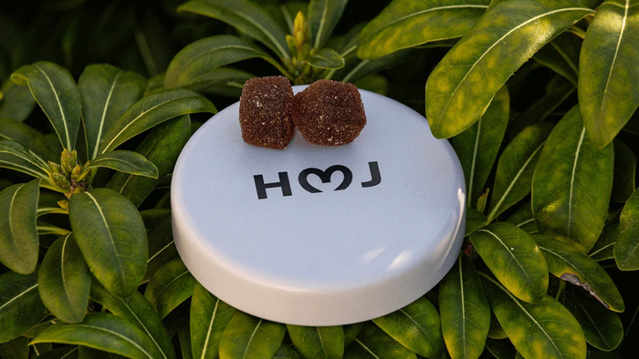 add the other field on the add citizen too