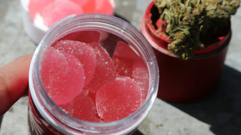 Jar of pink microdose gummies and small cannabis bud in the background