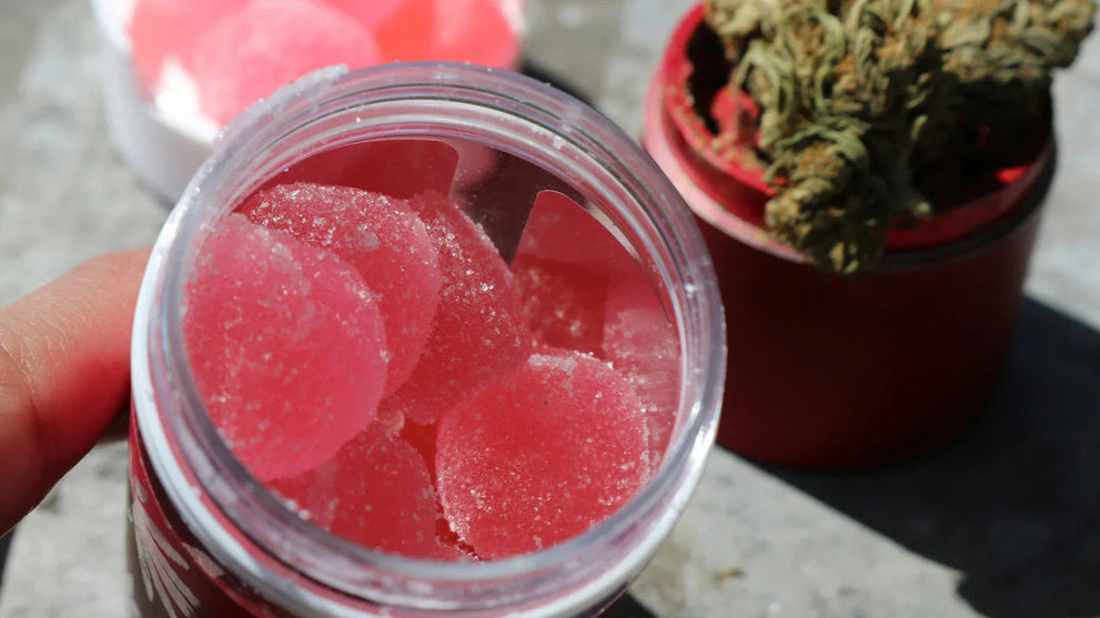 Jar of pink microdose gummies and small cannabis bud in the background
