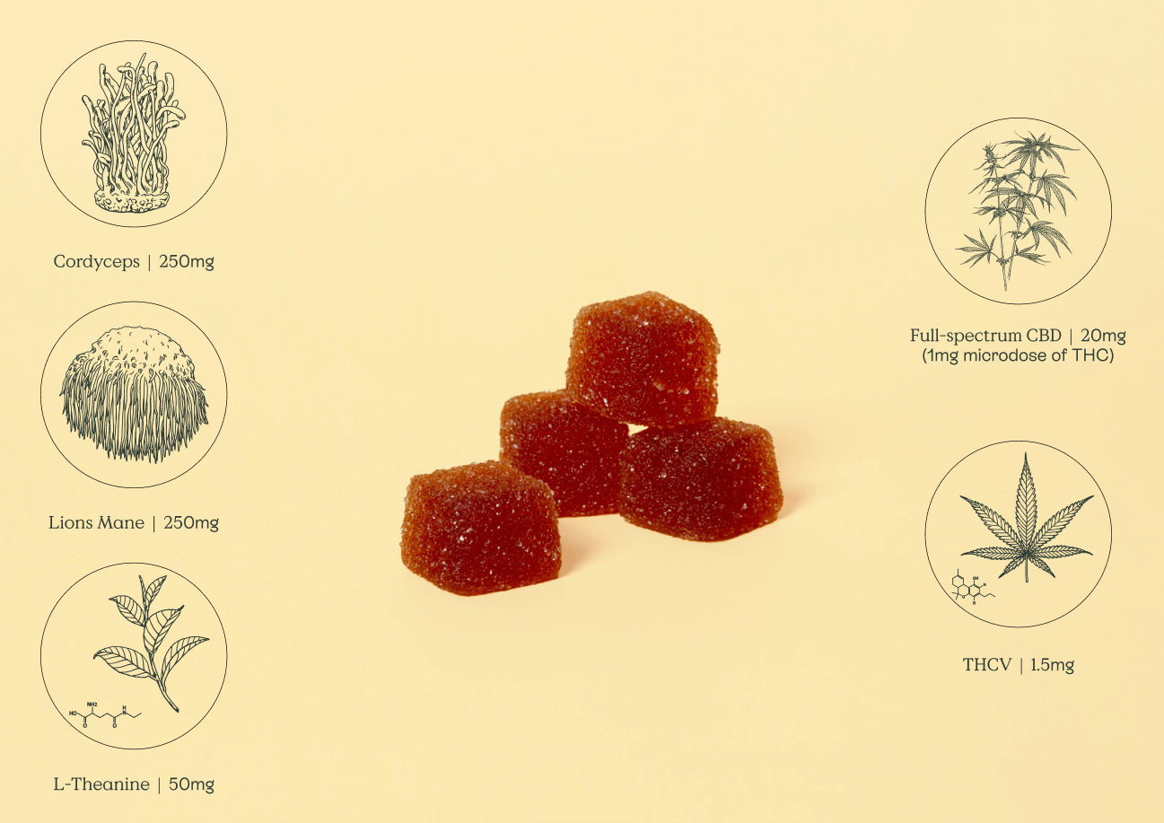 THCV Gummies -cbd energy,
cordyceps, and 
adhd gummies 