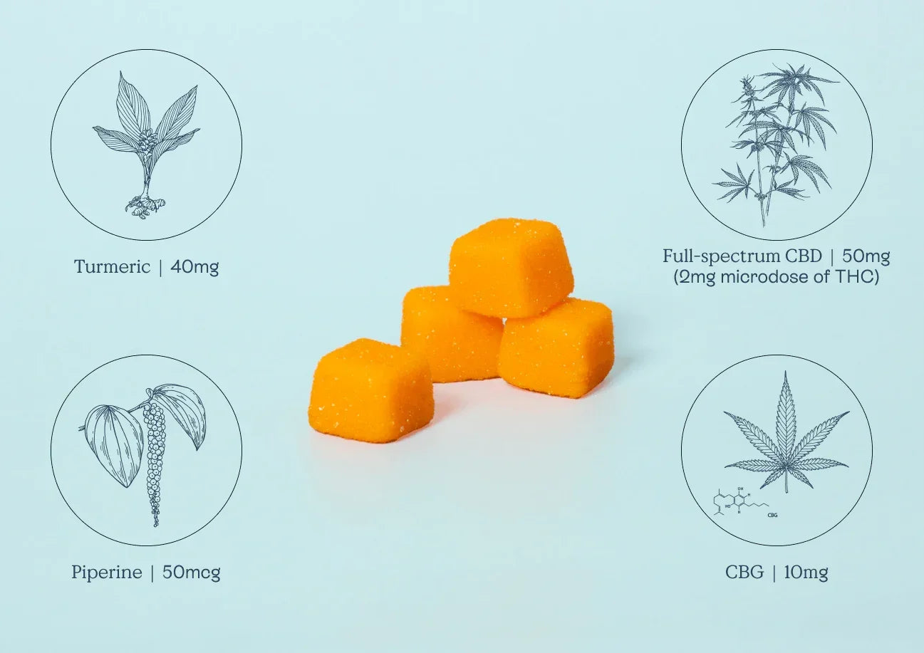 Bright orange gummies displayed with illustrated ingredients including turmeric, piperine, CBD, and CBG, highlighting a thoughtfully crafted blend designed for balanced support.