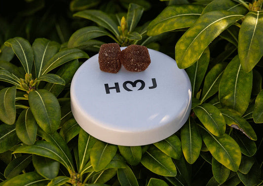 Two gummies placed on a Hey Mary Jane container lid surrounded by green leaves, highlighting a clean, minimal approach and everyday ease.