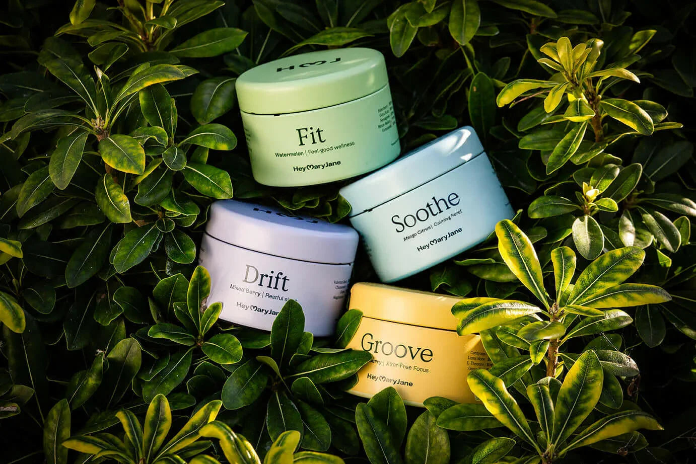 Hey Mary Jane Microdose Gummy 
Collection — all four products on green leaves

